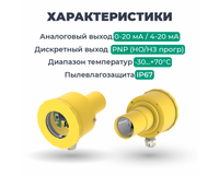 ДНУ-8110 ультразвуковой датчик уровня - НПО "Промавтоматика", Екатеринбург